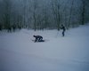 m_img_0062.jpg