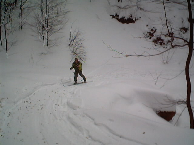 Hq01.JPG, 41071 bytes, 11.1.2002