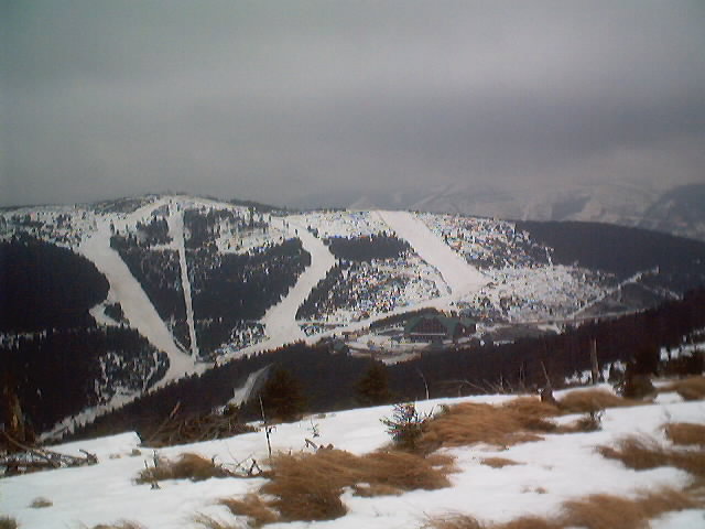 HQ29.JPG, 54383 bytes, 3.2.2002