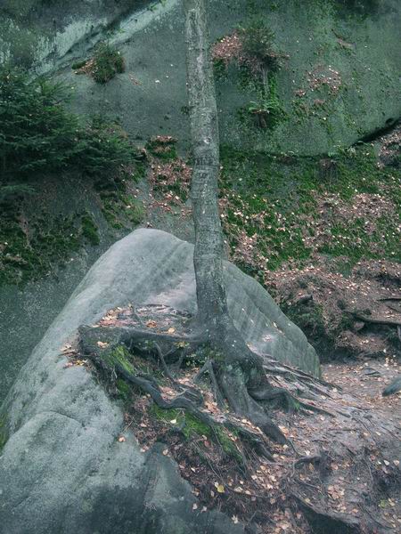 20033.JPG