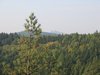 IMG_2061.JPG