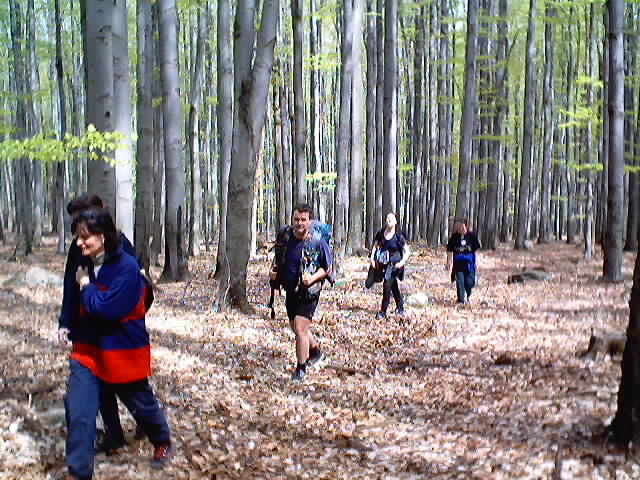 HQ23.JPG, 58991 bytes, 28. 4. 2001